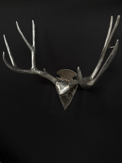 MULE DEER