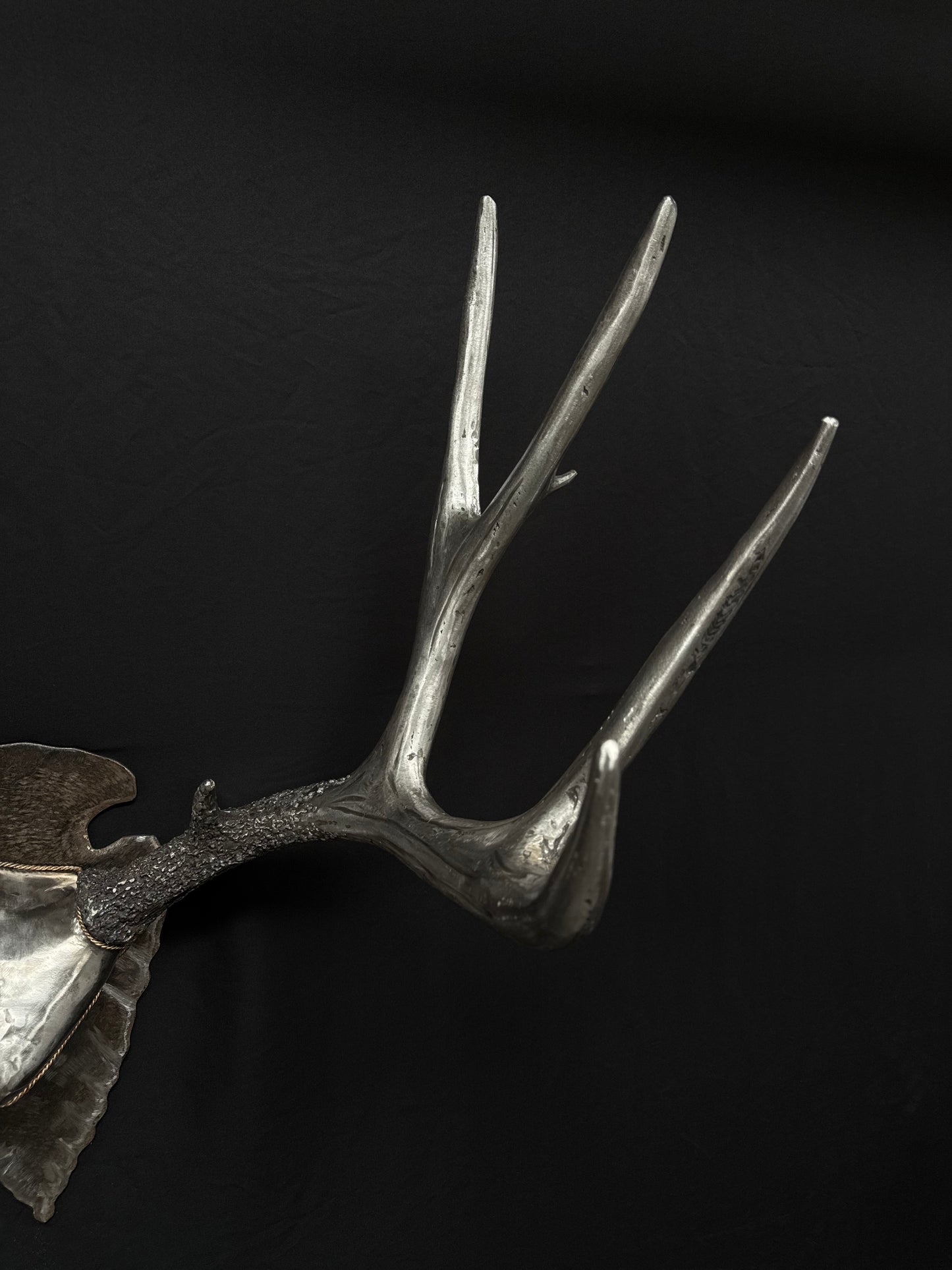 MULE DEER