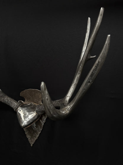 MULE DEER