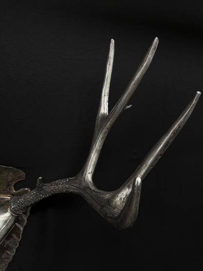 MULE DEER