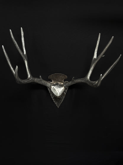 MULE DEER
