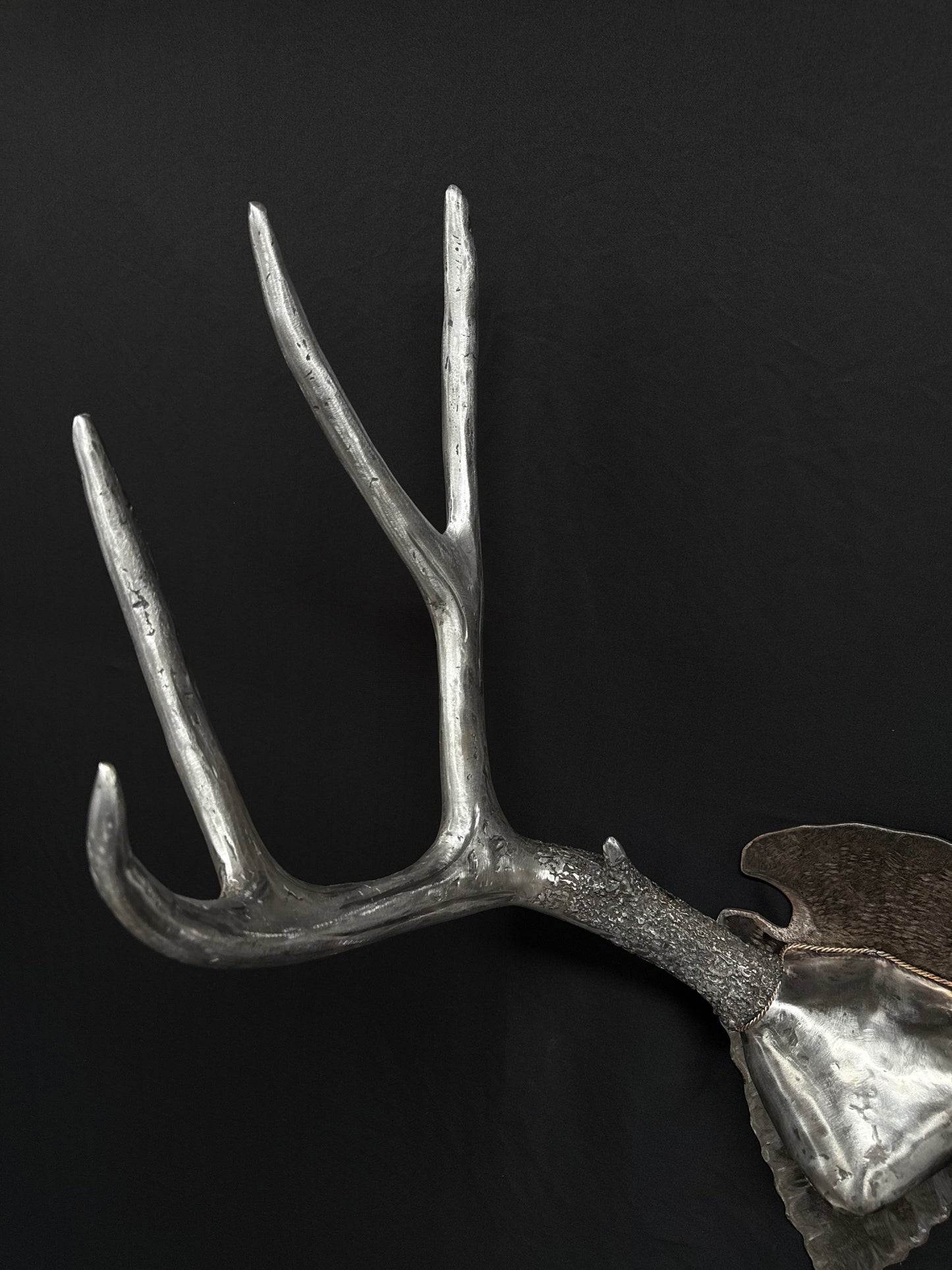 MULE DEER