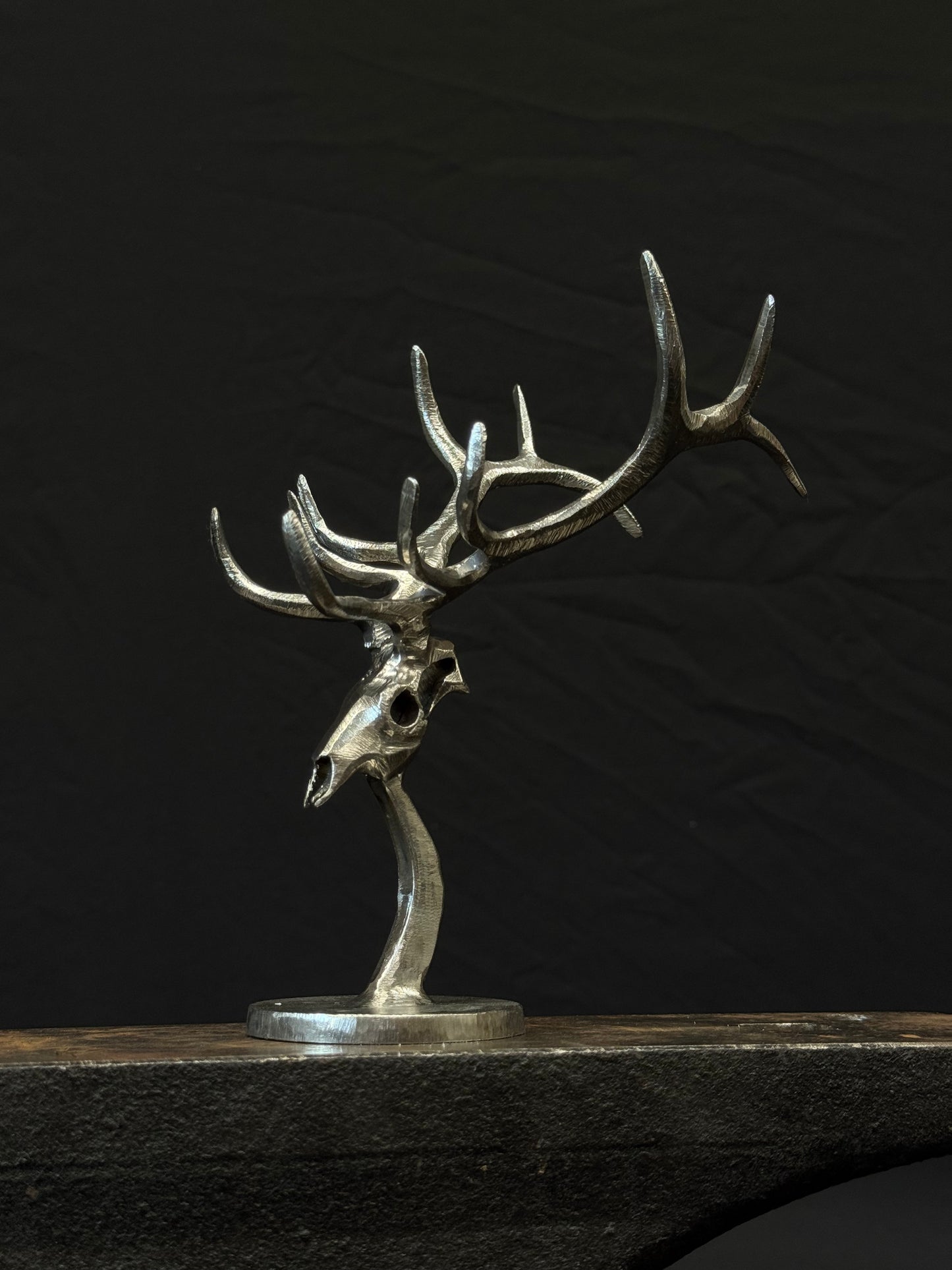 Completed elk skulls limited to 25