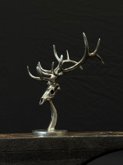 Completed elk skulls limited to 25