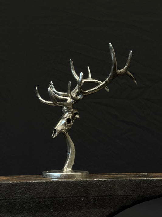 Completed elk skulls limited to 25