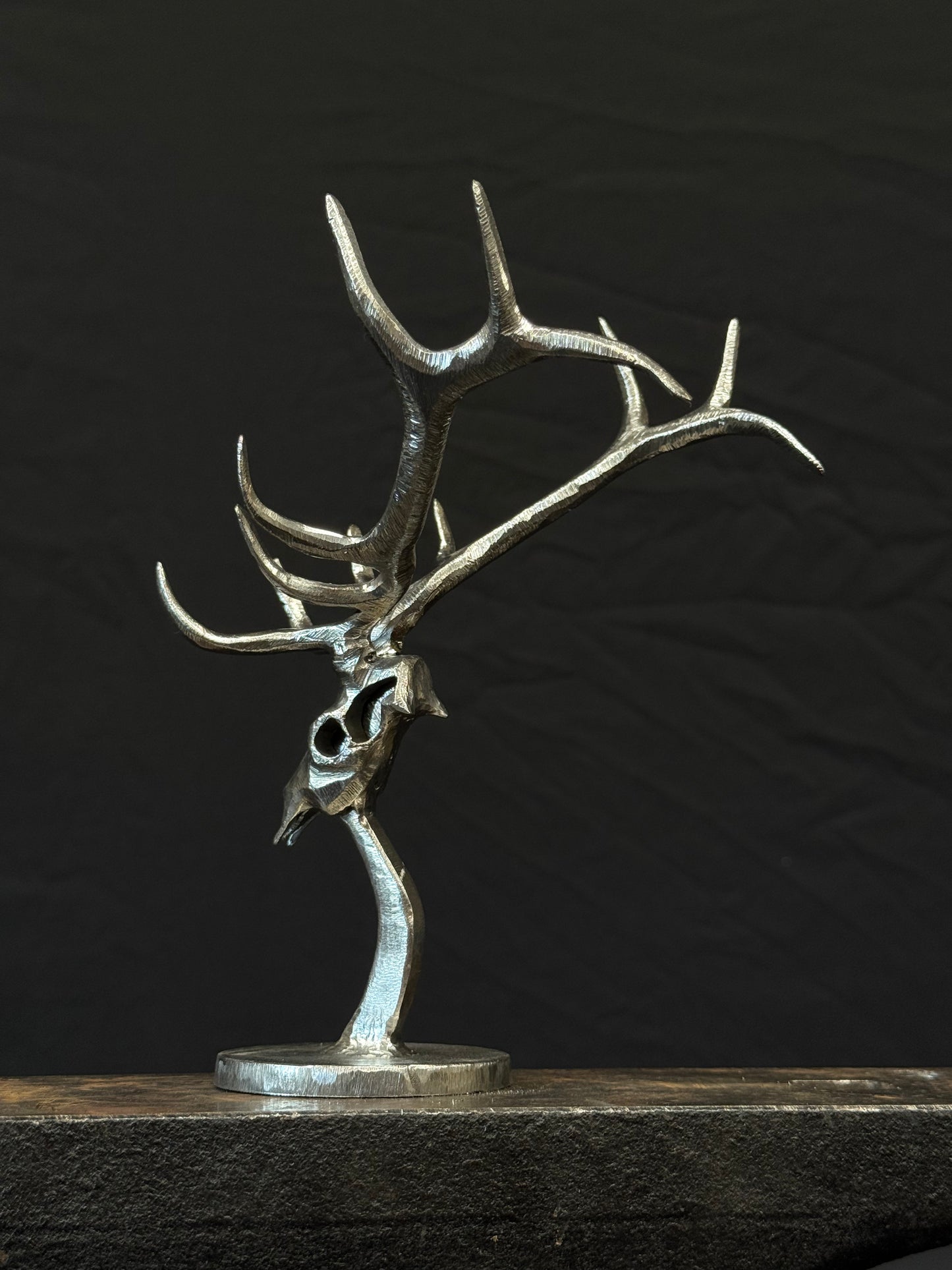 Completed elk skulls limited to 25
