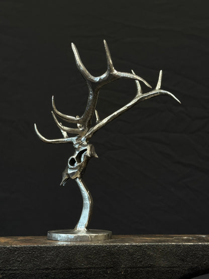 Completed elk skulls limited to 25