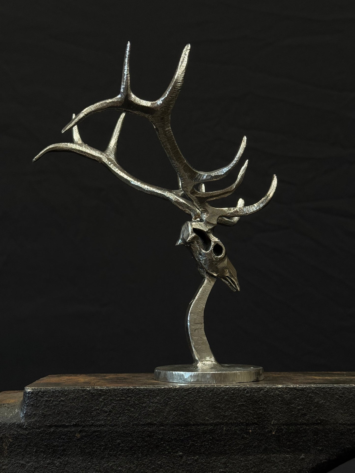 Completed elk skulls limited to 25