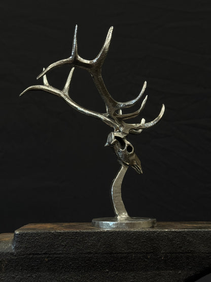 Completed elk skulls limited to 25