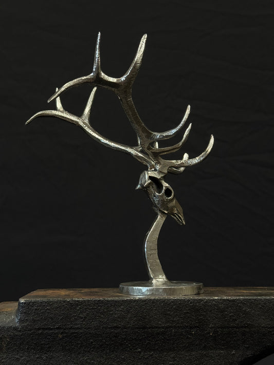 Completed elk skulls limited to 25