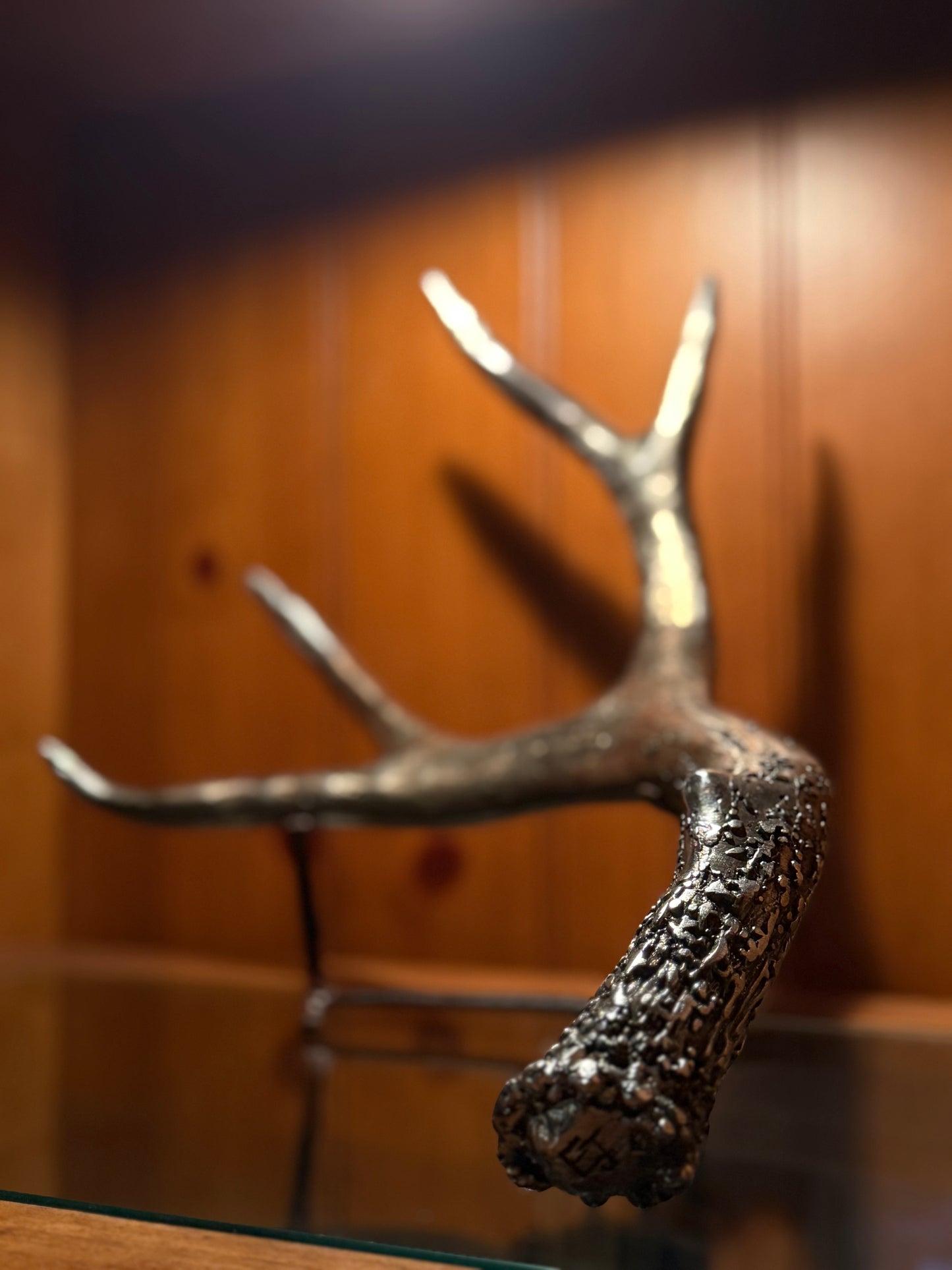 Blacktail shed